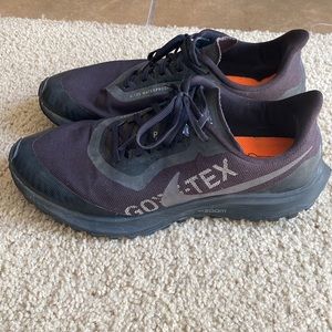 Nike Pegasus Trail Running shoe (GoreTex)
